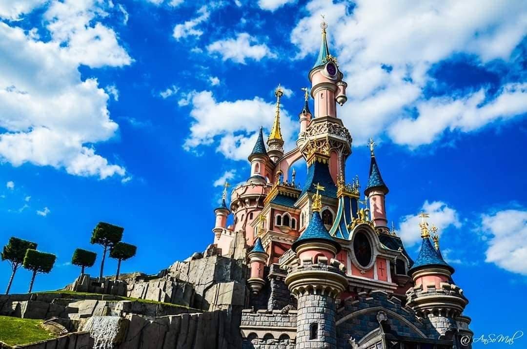 mickey, attraction